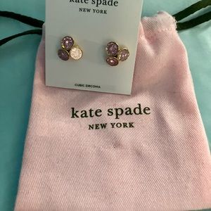 Kate spade reflecting pool and earrings